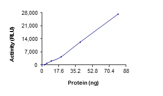 Functional Studies - Recombinant human TGF beta Receptor I protein (AB105908)