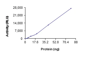 Functional Studies - Recombinant human TGF beta Receptor I protein (AB105908)