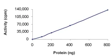 Functional Studies - Recombinant human TGF beta Receptor II protein (AB63173)