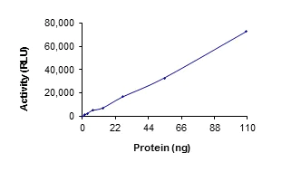 Functional Studies - Recombinant human TGF beta Receptor II protein (AB63173)