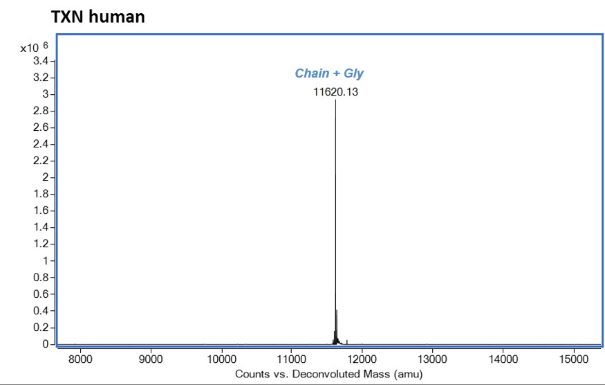Mass Spectrometry - Recombinant Human Thioredoxin / TRX protein (AB283443)