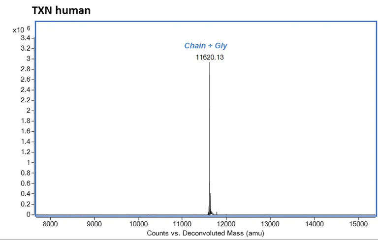 Mass Spectrometry - Recombinant Human Thioredoxin / TRX protein (AB283443)