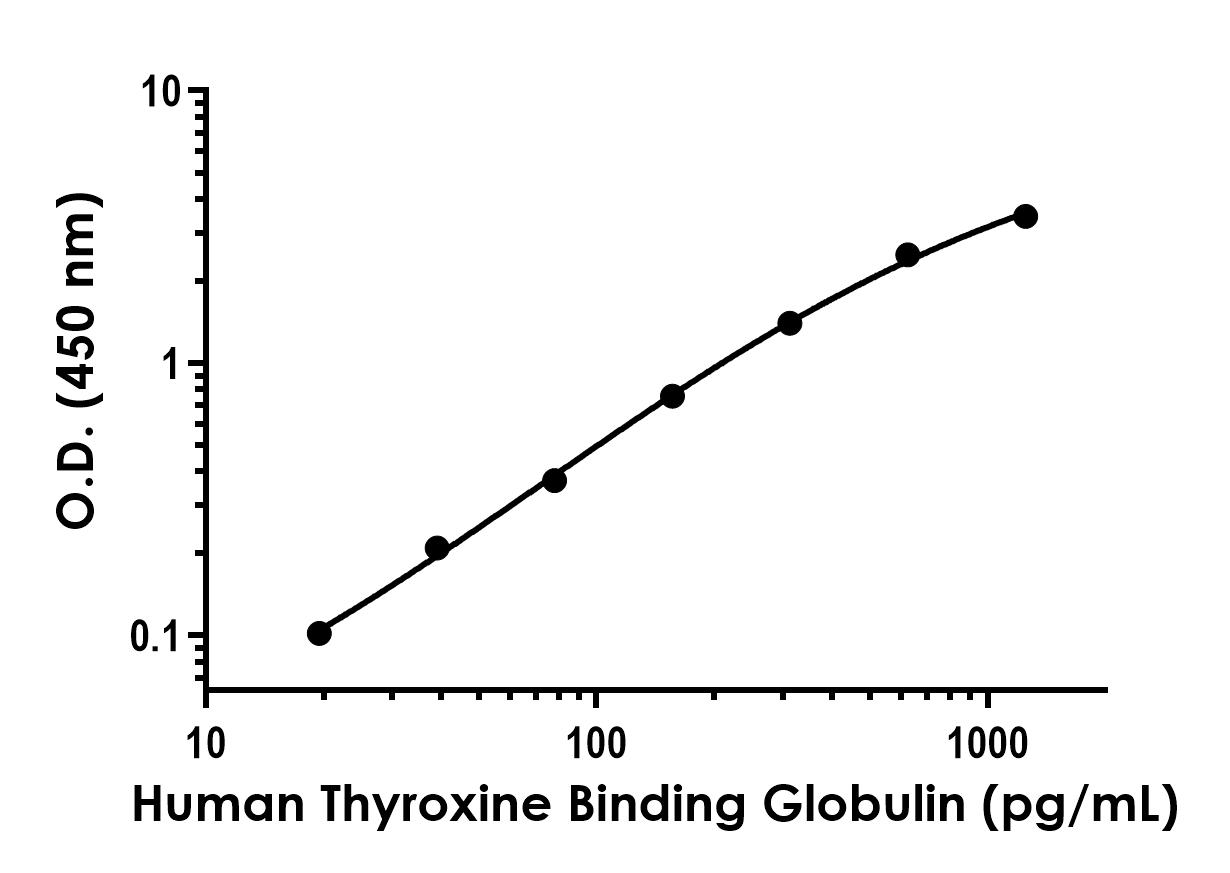 Sandwich ELISA - Recombinant Human Thyroxine Binding Globulin Protein Standard (His tag) (AB316508)