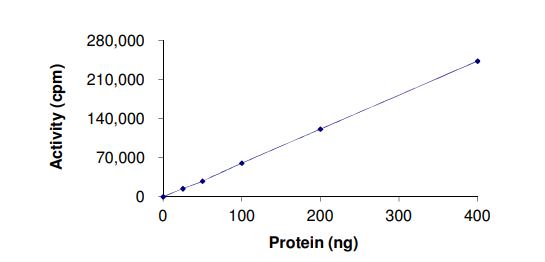 Recombinant human TIE2 (mutated A1124V) protein (Active)