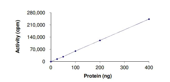 Functional Studies - Recombinant human TIE2 (mutated A1124V) protein (Active) (AB269044)