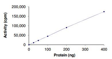 Functional Studies - Recombinant human TIE2 (mutated R849W) protein (Active) (AB186089)