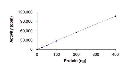 Recombinant human TIE2 (mutated Y1108F) protein (Active)