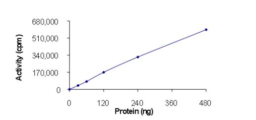 Recombinant human TIE2 (mutated Y897H) protein (Active)