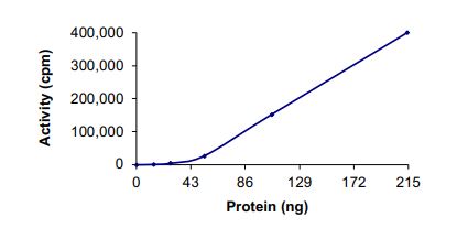 Recombinant human TIE2 (mutated Y897S) protein (Active)