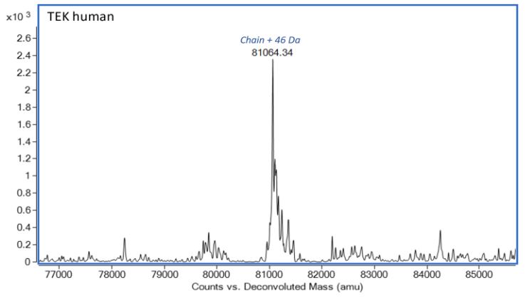 Mass Spectrometry - Recombinant Human TIE2 protein (AB283468)