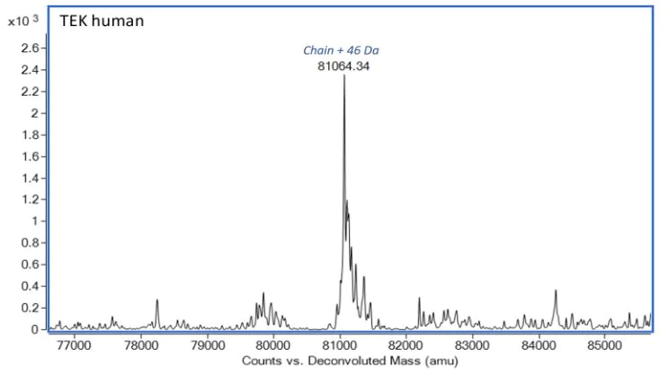 Mass Spectrometry - Recombinant Human TIE2 protein (AB283468)