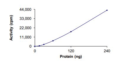 Recombinant human TIE2 protein (Active)