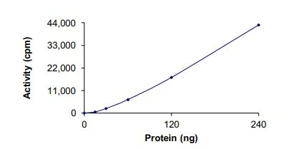 Functional Studies - Recombinant human TIE2 protein (Active) (AB269054)