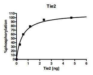 Functional Studies - Recombinant human TIE2 protein (GST tag N-Terminus) (AB196080)