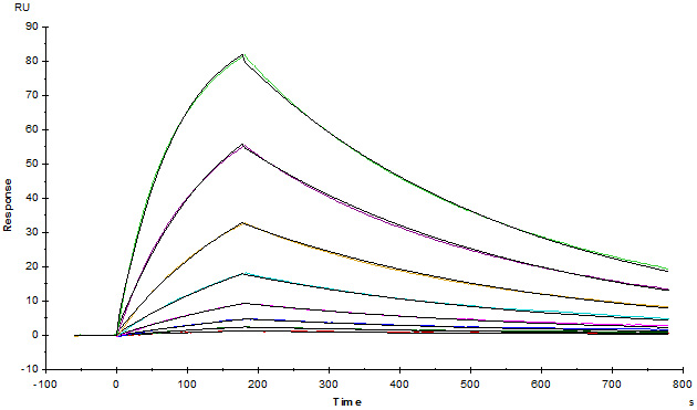 Functional Studies - Recombinant human TIM 3 protein (Active) (AB182714), expandable thumbnail