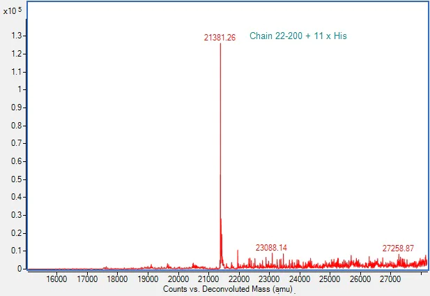 Mass Spectrometry - Recombinant Human TIM 3 Protein (His tag) (AB307482)