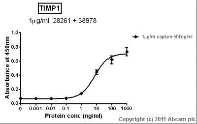 Sandwich ELISA - Recombinant human TIMP1 protein (AB82104)