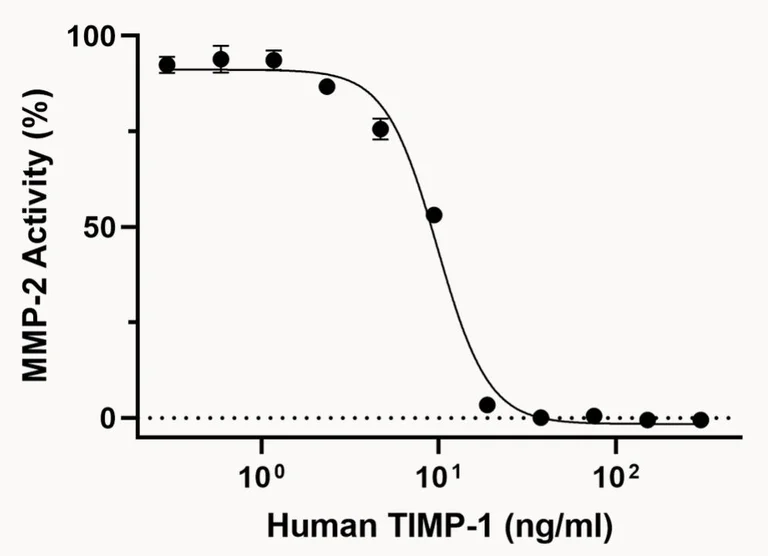Functional Studies - Recombinant human TIMP1 protein (Active) (AB280945)