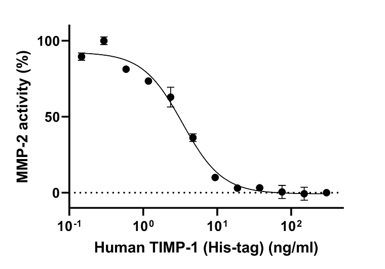 Biological Activity - Recombinant Human TIMP1 protein (His tag) (Active) (AB280386)