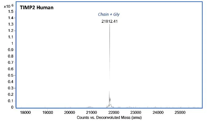 Mass Spectrometry - Recombinant Human TIMP2 protein (AB287940)