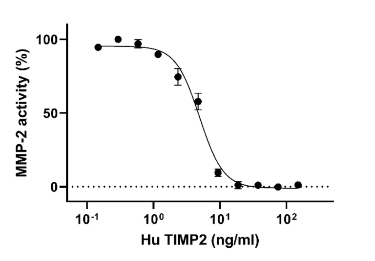 Biological Activity - Recombinant Human TIMP2 Protein (Active) (AB291057)