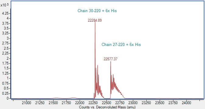 Mass Spectrometry - Recombinant Human TIMP2 Protein (Active) (AB291057)