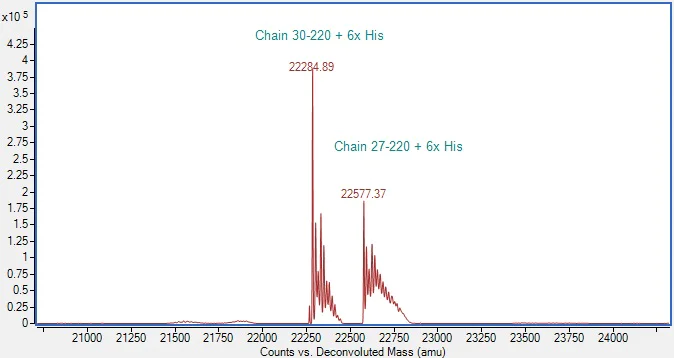Mass Spectrometry - Recombinant Human TIMP2 Protein (Active) (AB291057)