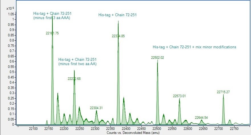 Mass Spectrometry - Recombinant Human TL1A protein (His tag) (AB318249)