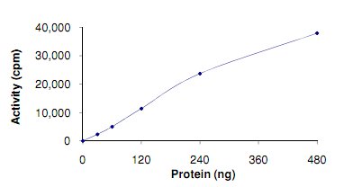 Functional Studies - Recombinant human TLK1 protein (AB125563)