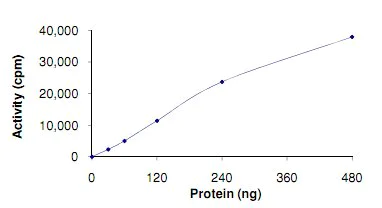 Functional Studies - Recombinant human TLK1 protein (AB125563)