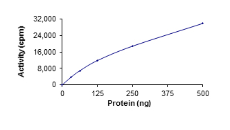 Recombinant human TLK1 protein