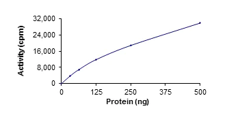 Functional Studies - Recombinant human TLK1 protein (AB125563)