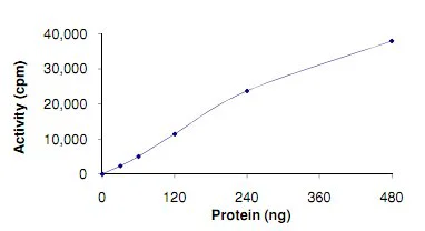Functional Studies - Recombinant human TLK1 protein (GST tag N-Terminus) (AB125563)
