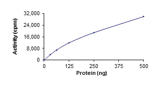 Functional Studies - Recombinant human TLK1 protein (GST tag N-Terminus) (AB125563)