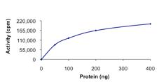 Functional Studies - Recombinant human TLK2 protein (AB89855)