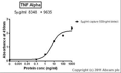 Sandwich ELISA - Recombinant human TNF alpha protein (AB9642), expandable thumbnail