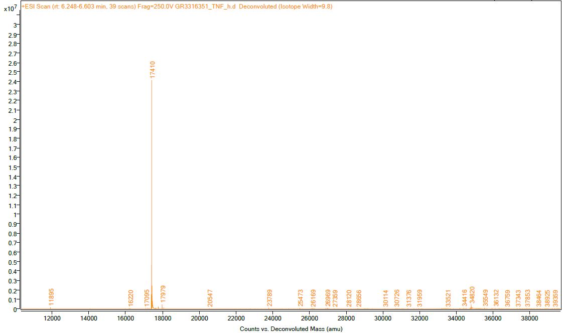 Mass Spectrometry - Recombinant human TNF alpha protein (Active) (ab259410), expandable thumbnail