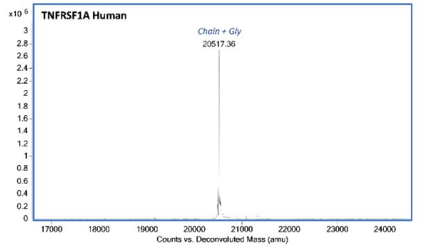 Mass Spectrometry - Recombinant Human TNFRSF1A Protein (Active) (AB283448), expandable thumbnail