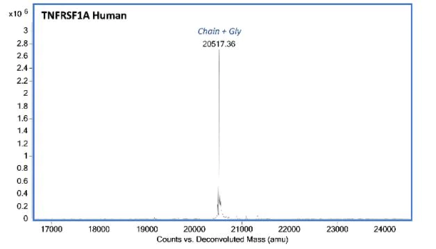 Mass Spectrometry - Recombinant Human TNFRSF1A Protein (Active) (AB283448)