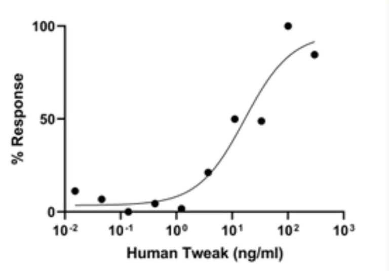 Functional Studies - Recombinant Human TNFSF12 Protein (Active) (AB283416)