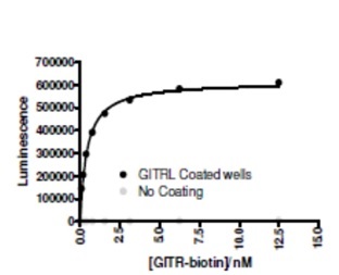 Functional Studies - Recombinant Human TNFSF18/GITRL protein (His tag) (AB216221), expandable thumbnail