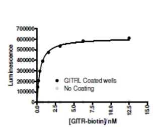 Functional Studies - Recombinant Human TNFSF18/GITRL protein (His tag) (AB216221)