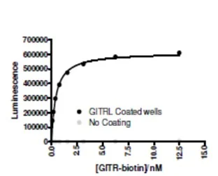 Functional Studies - Recombinant Human TNFSF18/GITRL protein (His tag N-Terminus) (AB216221)