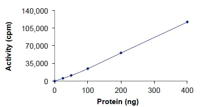 Functional Studies - Recombinant human Tnk1 protein (Active) (AB207985)
