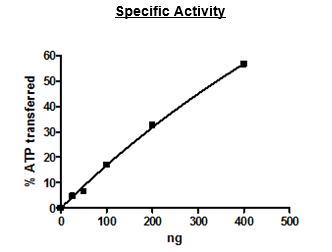 Functional Studies - Recombinant human Tnk1 protein (Active) (AB271770)
