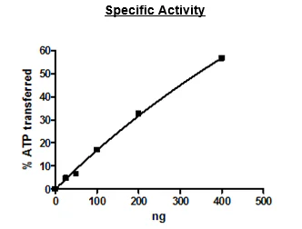 Functional Studies - Recombinant human Tnk1 protein (Active) (GST N-Terminus) (AB271770)