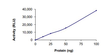 Functional Studies - Recombinant human TNNI3K protein (Active) (AB269059)