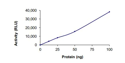 Functional Studies - Recombinant human TNNI3K protein (Active) (AB269059)