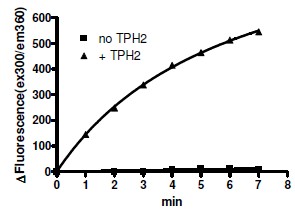 Functional Studies - Recombinant human TPH2 protein (His tag N-Terminus) (AB206456)