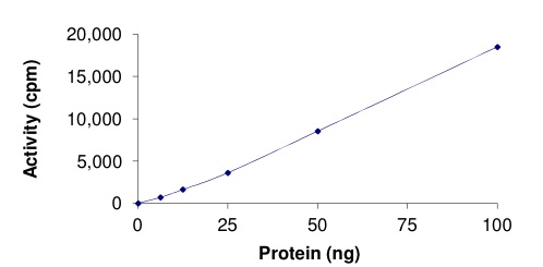 Functional Studies - Recombinant human TPM3 + TRKA protein (AB191465), expandable thumbnail